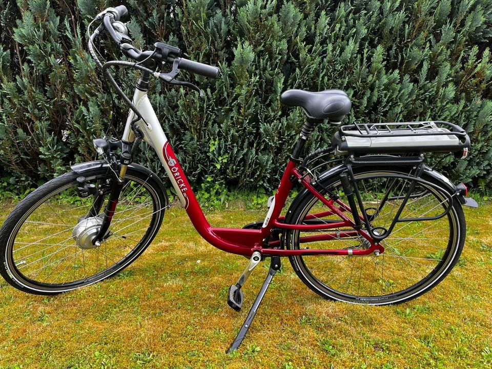 2 E-Fahrräder in Bad Schussenried