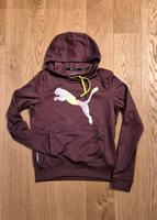 Sweatshirt Pullover Brandenburg - Potsdam Vorschau
