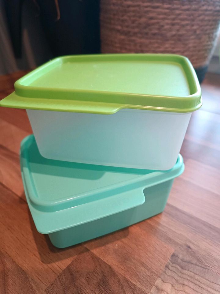 Tupperware 2 Stück Dose 500ml grün und türkis in Mönchberg