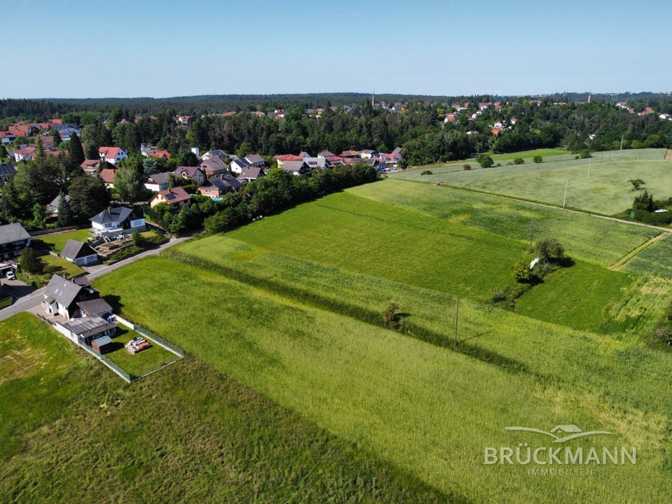 Schönes Baugrundstück (Nr. 752, 386 m²) im Neubaugebiet "Am Ringelsberg" Hertlingshausen! in Carlsberg