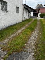 Rasen mähen Bayern - Kirchroth Vorschau