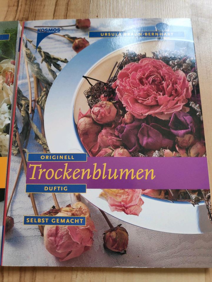 2 Bücher Blumendekoration - "Festtagsschmuck" und "Trockenblumen" in Dresden