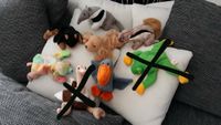 Beanie Babies Kuscheltiere Hund Teddy Eichhörnchen Pelikan Nordrhein-Westfalen - Jüchen Vorschau