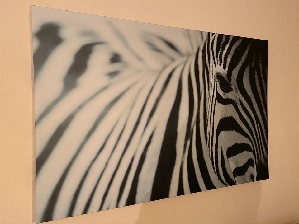 Zebra Bild Ikea in Gersfeld