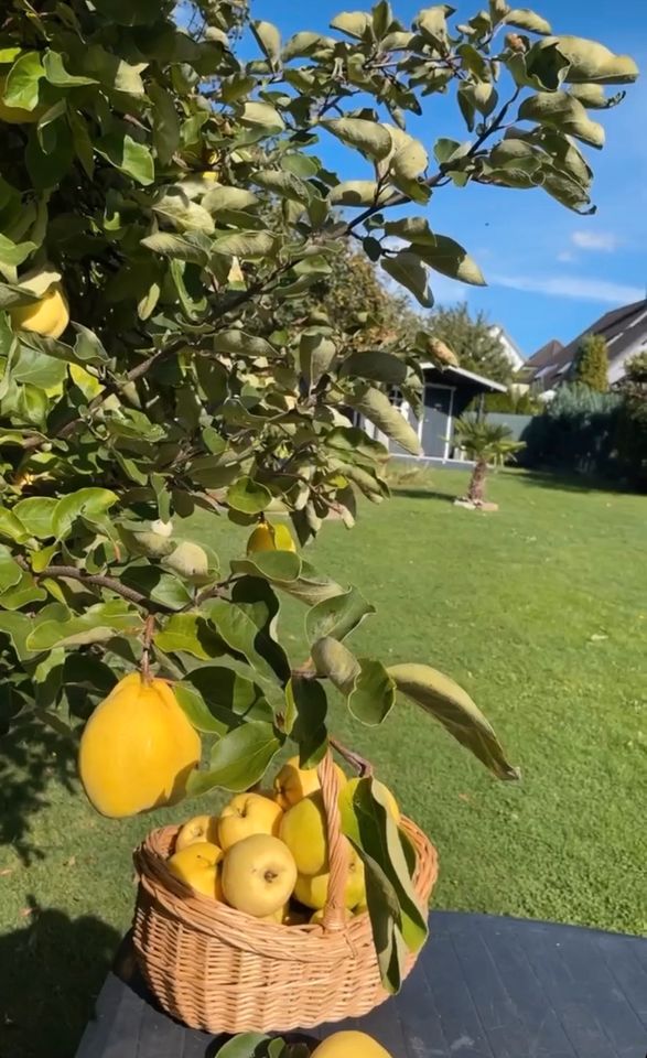 Bevorzugte Lage,2 Familienhaus, Gasetagen Heizung in Witten