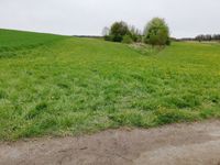 Landwirtschaftliches Grundstück, Wiese zum Verkauf Baden-Württemberg - Bad Schussenried Vorschau