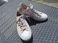 Converse Sneaker Chucks all Star 37 ✖️✖️ Nordrhein-Westfalen - Ahlen Vorschau