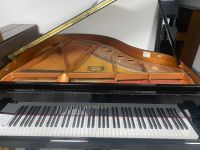 Klaviere & Flügel Jubiläumsangebote bei PIANO EHRET in Viernheim Hessen - Viernheim Vorschau