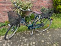 Damenrad, Hollandrad, Gazelle Primeur, Fahrrad Nordrhein-Westfalen - Schwalmtal Vorschau