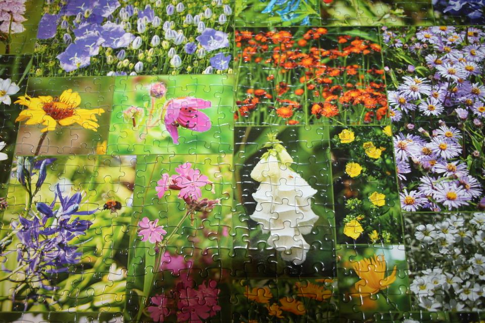 2x 1000 Teile Puzzle Birds/ Flowers of Norway Je 12 € in Cölbe