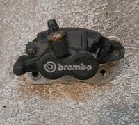 BMW R850R R1100R R 1100 / 259 - Bremssattel hinten brembo Brandenburg - Bad Freienwalde Vorschau