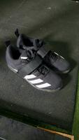 Gewichtheber Schuhe  Powerlifting  Adidas Sachsen - Sohland Vorschau