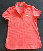 Puma Shirt Polo Golf Sport Dry fit Kinder Größe 140 Schleswig-Holstein - Büdelsdorf Vorschau