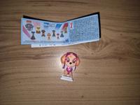 Zaini/Nickelodeon Paw Patrol Collection Flachfiguren Skye + BPZ Sachsen-Anhalt - Köthen (Anhalt) Vorschau