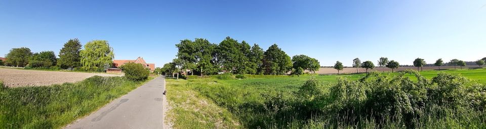 Traumhaftes Baugrundstück mit Panoramablick in Römstedt in Römstedt