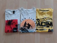 Jungen Sommer T-Shirts Gr. 170/176 H&M Hot Wheels ab 2,50€s Niedersachsen - Sickte Vorschau