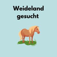 Weideland gesucht Nordrhein-Westfalen - Wiehl Vorschau