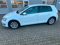 VW Golf 7 2.0 TDI BlueMotion Technology Allstar Tüv 03.2026 Nordrhein-Westfalen - Herne Vorschau