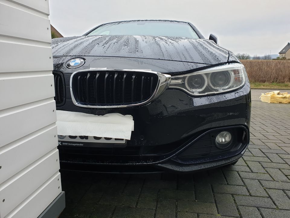 Autoteile & Reifen BMW 4er F 36 Original Nieren Chrom/Schwarz Küh in Lemgo