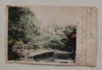 Ansichtskarte Postkarte Tokio Maple of Tokinogawa  1904 Hessen - Kronberg im Taunus Vorschau