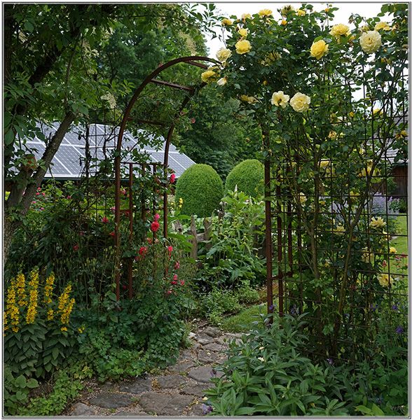 Rosenbogen Basel Pergola Rozenboog Torbogen in Görlitz