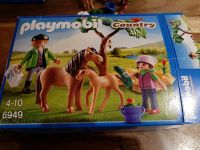 Playmobil Country 6949 Ponymama mit Fohlen Nordrhein-Westfalen - Recklinghausen Vorschau