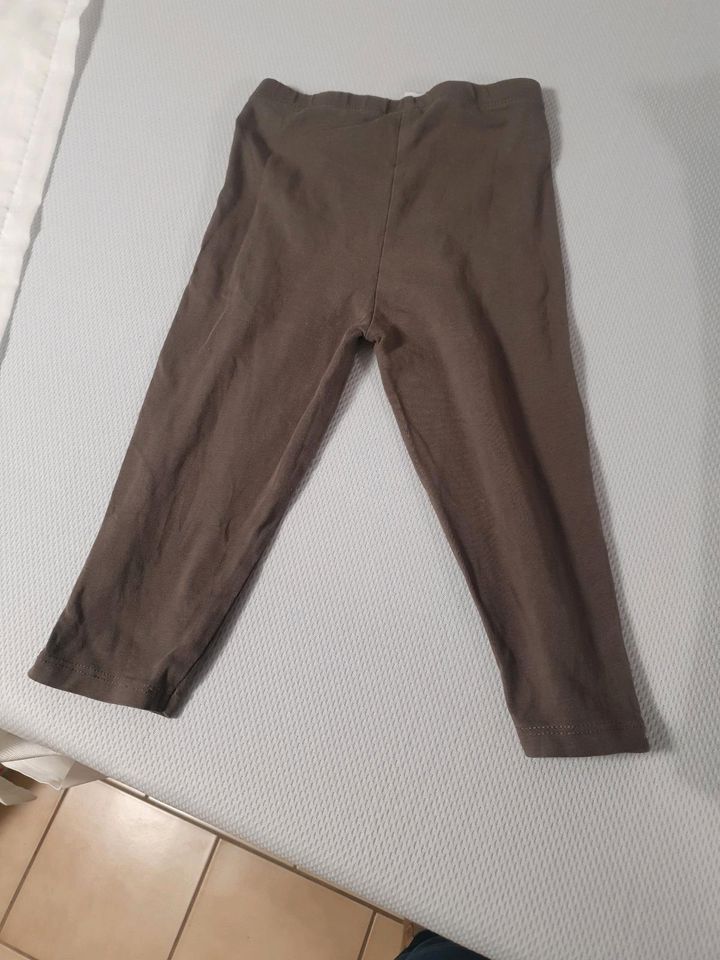 Leggins Gr. 86 C&A Topomini Liegelind Lupilu in Laatzen