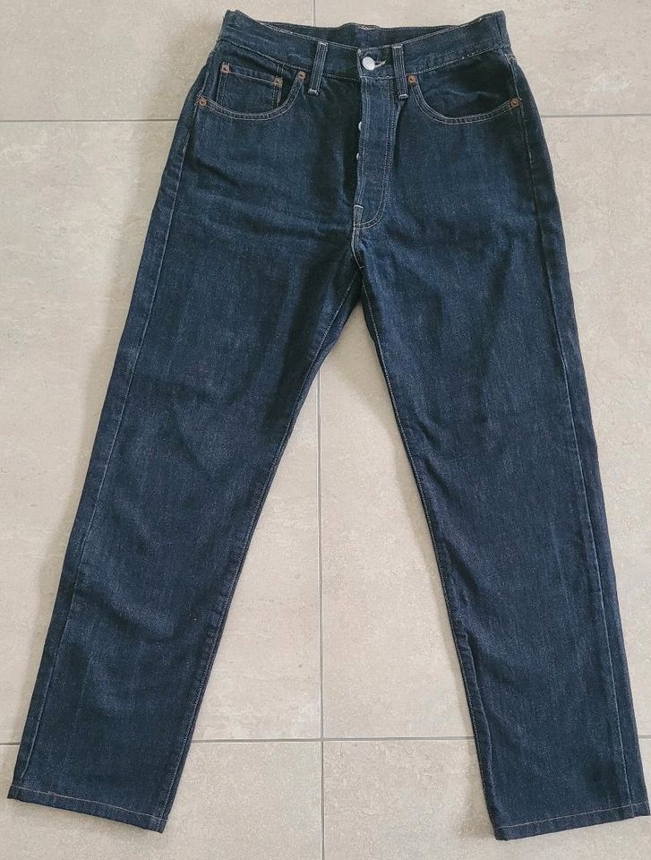 Replay Herren Jeans 30/32 blau in Essen-Haarzopf