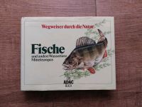 Fische und andere Wassertiere Mitteleuropas - ADAC Schleswig-Holstein - Kiel Vorschau