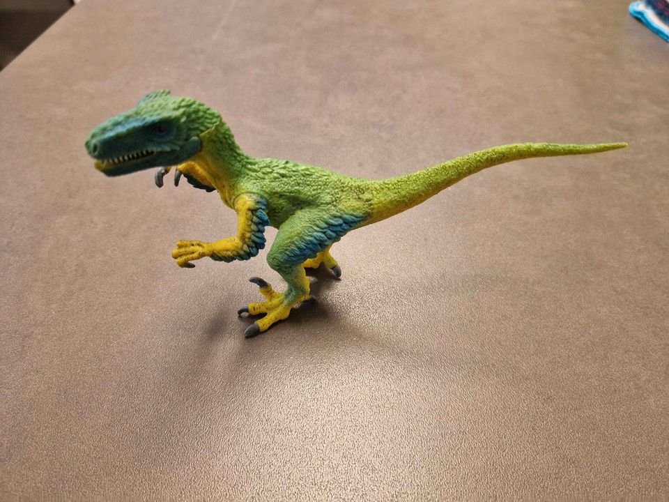 Velociraptor Schleich Dinosaurier neuwertig in Aach