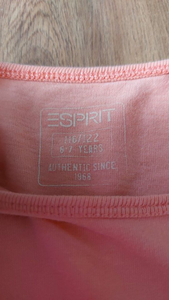 T-Shirt "Esprit" Gr. 116 / 122 in Fürth