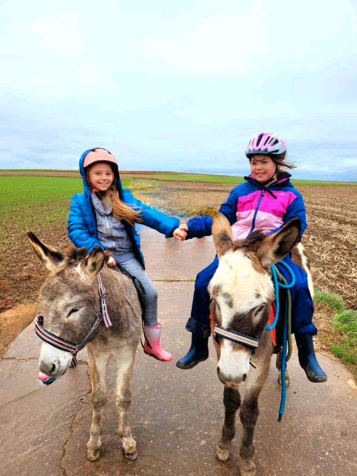 Eselwanderung/Kindergeburtstag in Saulheim