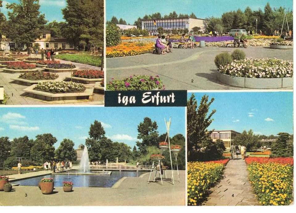 viele Postkarten aus Erfurt in Thüringen in Siegen