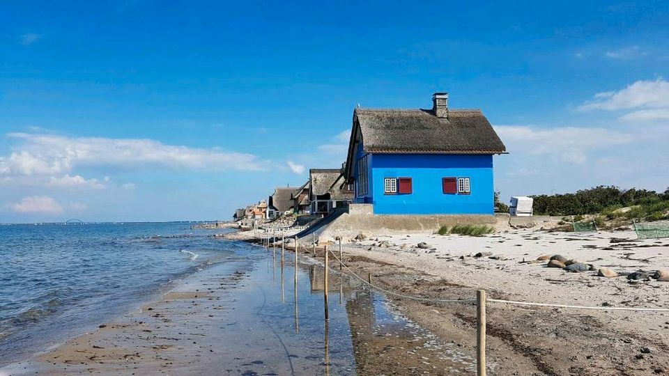 OSTSEE Ferienwohnung mit Meerblick,Strandlage,Hund erl in Heiligenhafen 