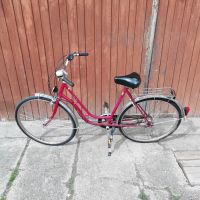 Fahrrad 28 Zoll epple Bayern - Kirchhaslach Vorschau