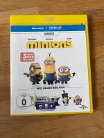 Blu ray minions wie alles begann Kinderfilm Niedersachsen - Wennigsen Vorschau