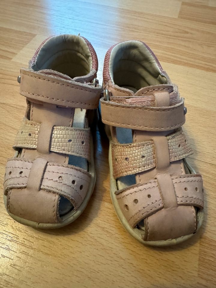 Mädchen Schuhe Sandalen rosa Elefanten 20 in Dresden