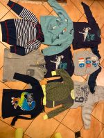 Paket Langarmshirts und Pullover gr 116 Dinosaurier diy Thüringen - Rudolstadt Vorschau