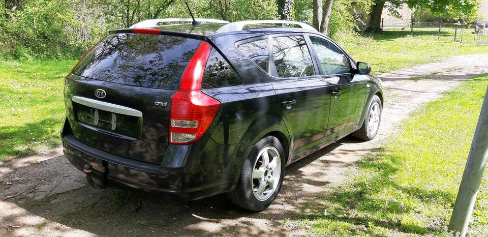 Kia Ceed ED Sporty Wagon in Stavenhagen