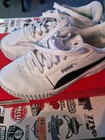 Puma schuhe Nordrhein-Westfalen - Gladbeck Vorschau