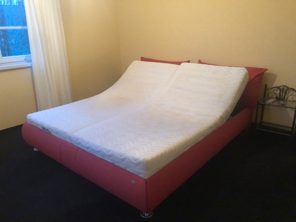 Bett Doppelbett in Trossingen