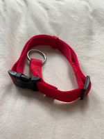 Rotes Hundehalsband M/L Schleswig-Holstein - Kiel Vorschau