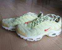 Ich habe meine gut erhaltenen Nike TN Air Max Plus zu vergeben:) Köln - Ehrenfeld Vorschau