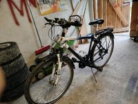 Verkaufe von Trekkingrad Schauff Fahrrad,29 Zoll Bayern - Neustadt a.d.Donau Vorschau