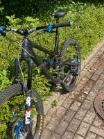 Canyon tourque cf 8.0 Mountainbike Mtb Freeride Downhil enduro Essen - Essen-Werden Vorschau