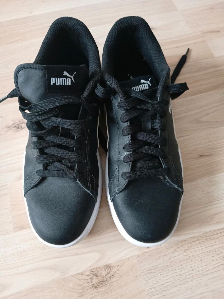 Puma Schuhe Gr 41 in Gau-Odernheim