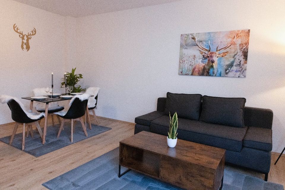 Apartment Sängerstadt Flat Peter inkl. Netflix in Finsterwalde