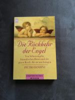 Die Rückkehr der Engel von Pietro Bandini Eimsbüttel - Hamburg Eimsbüttel (Stadtteil) Vorschau