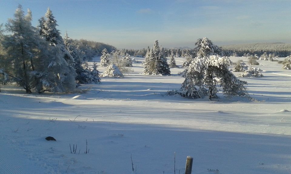 Sauerland/Hochsauerland-Willingen-Winterberg- Top FeWo in Olsberg