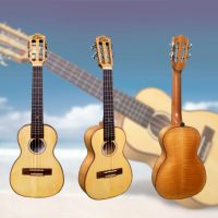 NEU eingetroffen: Solid Flamed maple Concert Ukulele v.Leho Hamburg-Nord - Hamburg Ohlsdorf Vorschau